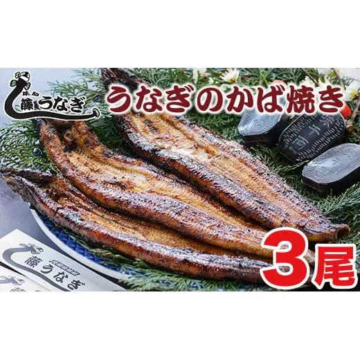 うなぎのかば焼き３尾　国産鰻 『お食事処 藤うなぎ』<2.5-6>うなぎ ウナギ 魚介類 かば焼き 蒲焼き 国産 宮崎県西都市