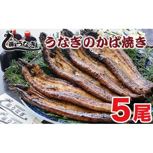 うなぎのかば焼き5尾　国産鰻『お食事処 藤うなぎ』<4.2-2>うなぎ ウナギ 魚介類 かば焼き 蒲焼き 国産 宮崎県西都市