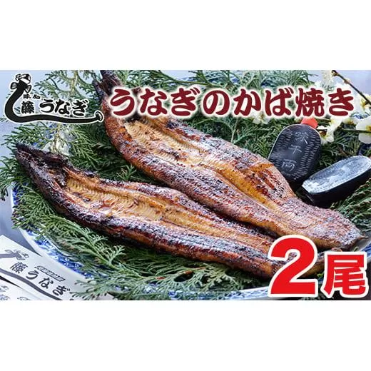 うなぎのかば焼き2尾　国産うなぎ 『お食事処 藤うなぎ』<1.7-2>うなぎ ウナギ 魚介類 かば焼き 蒲焼き 国産 宮崎県西都市