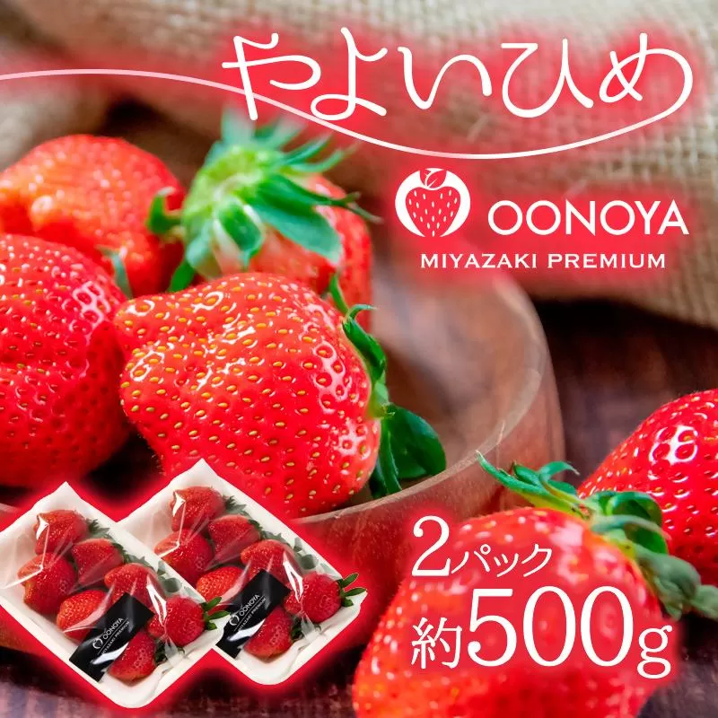 [先行予約]大粒厳選いちご やよいひめ 250g×2パック(約500g)苺大野屋 宮崎県西都市[1-294]果物 くだもの フルーツ 苺 西都市