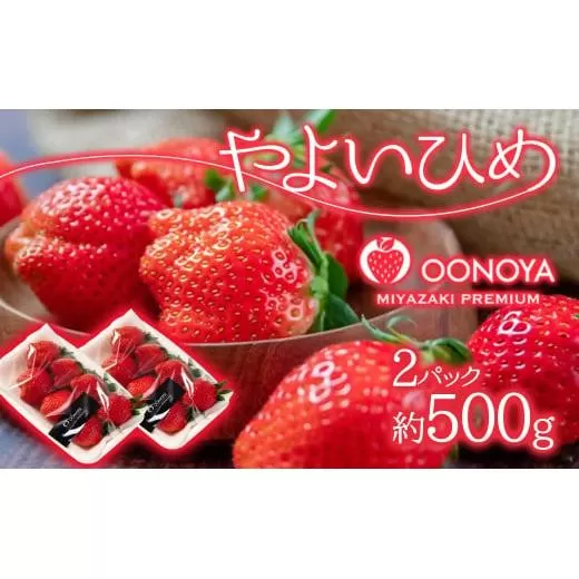 【先行予約】大粒厳選いちご やよいひめ 250g×2パック（約500g）苺大野屋 宮崎県西都市<1-294>果物 くだもの フルーツ 苺 西都市