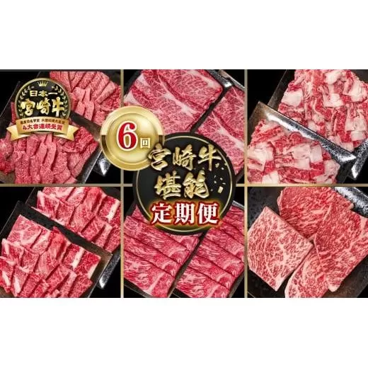 【定期便】宮崎牛 6回定期便 小分け ブランド牛 A４～A5等級 内閣総理大臣賞4連覇＜9-13＞焼き肉 すき焼き 牛肉 最高級黒毛和牛