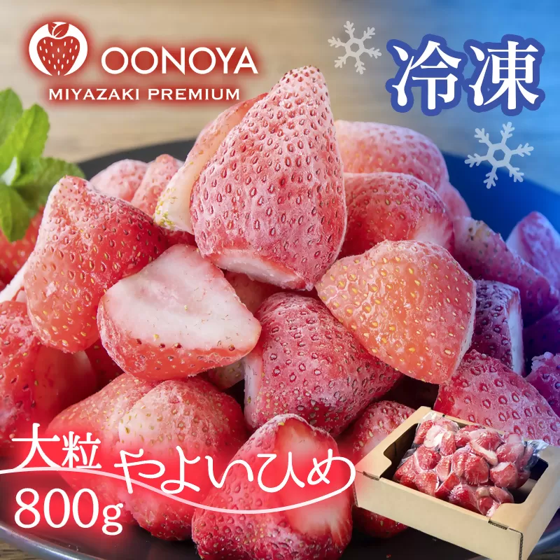 苺大野屋 瞬間冷凍 完熟苺やよいひめ800g 宮崎県西都市産[1.2-18]果物 くだもの フルーツ イチゴ 西都市