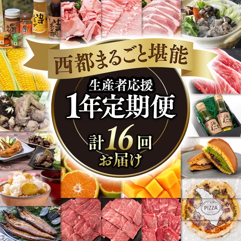 【季節の定期便】西都まるごと堪能セットＣ 16品お届け 令和7年1月発送開始 12ヶ月定期便 『ゴールドコース』マンゴー・宮崎牛・うなぎなど16品お届け＜25-3＞牛肉 果物 フルーツ 宮崎県西都市