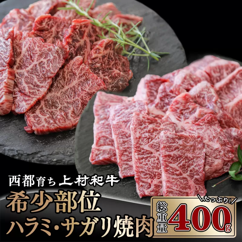 【カミチク　上村和牛】黒毛和牛 ハラミ・サガリ焼肉400g　200g×2　小分け＜1.8-3＞