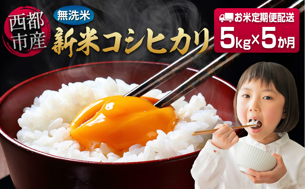 8月発送開始【5ヶ月定期便】 新米コシヒカリ無洗米 5kg×5 合計