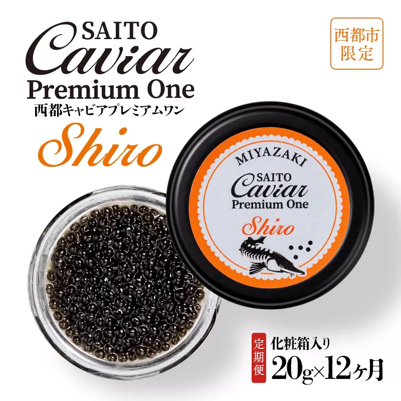 【12ヶ月定期便】SAITO CAVIAR PREMIUM ONE SHIRO 20g×12ヶ月＜44-1＞キャビア 西都市オリジナル