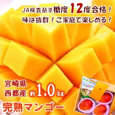 【先行予約】「ご家庭用」西都産完熟マンゴー ３～５玉（約１ｋｇ） ＪＡ西都 2025年発送＜1.5-64＞果物 くだもの フルーツ 訳あり 宮崎県 西都市