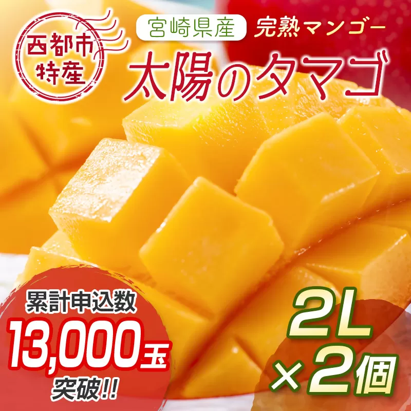 [先行予約]最高級完熟マンゴー 太陽のタマゴ 2L×2玉 西都市特産[2-76]2026年発送 果物 くだもの フルーツ 宮崎県 西都市