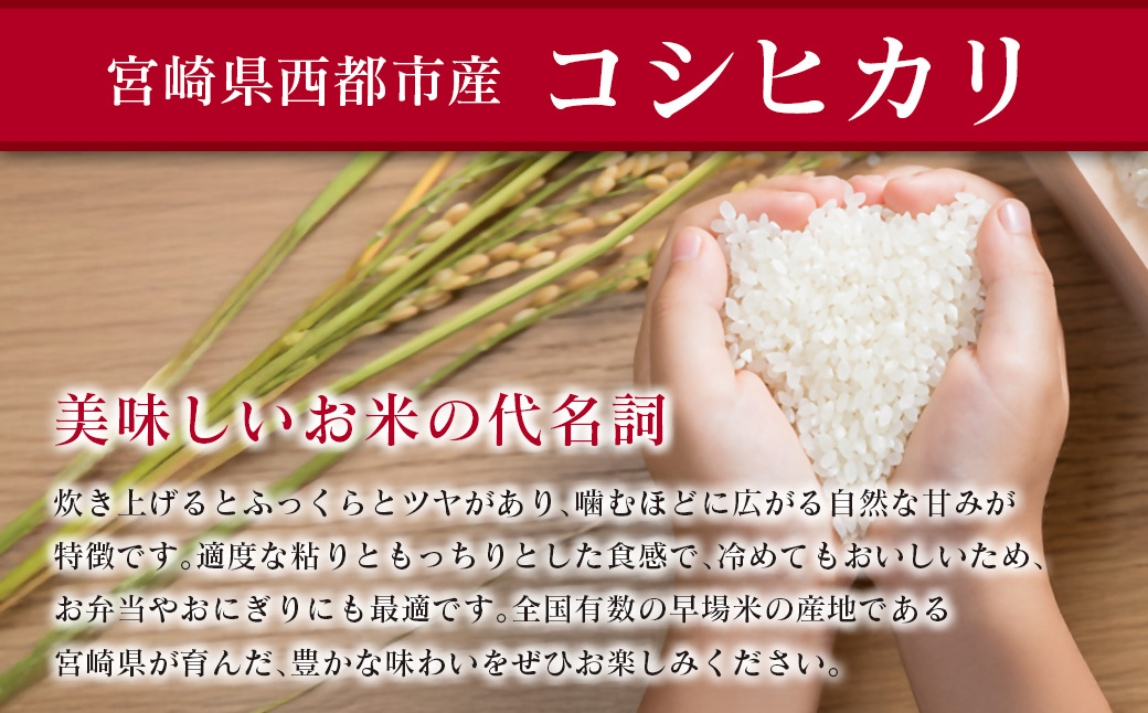 8月発送開始【5ヶ月定期便】 新米コシヒカリ無洗米 5kg×5 合計