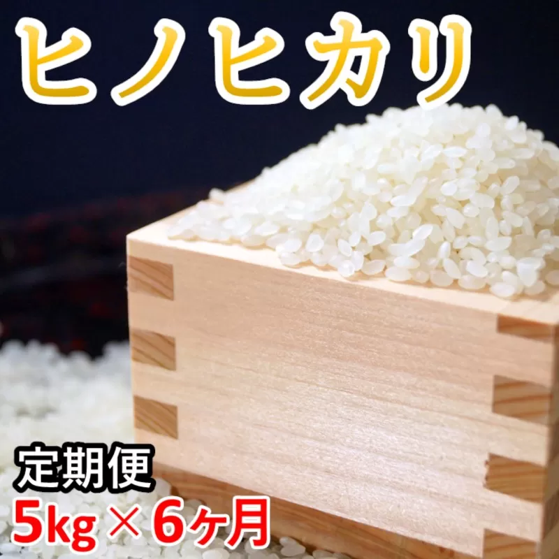 【定期便】『伊東マンショ米』ヒノヒカリ　5kg×6ヵ月　合計30ｋｇ<4-10>