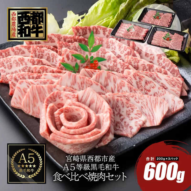 【最高品質のA5等級 西都和牛】黒毛和牛食べ比べ焼肉セット 赤身・カルビ 600g （200ｇ×3）小分け 宮崎県産＜1.7-35＞【カミチクファーム】牛肉