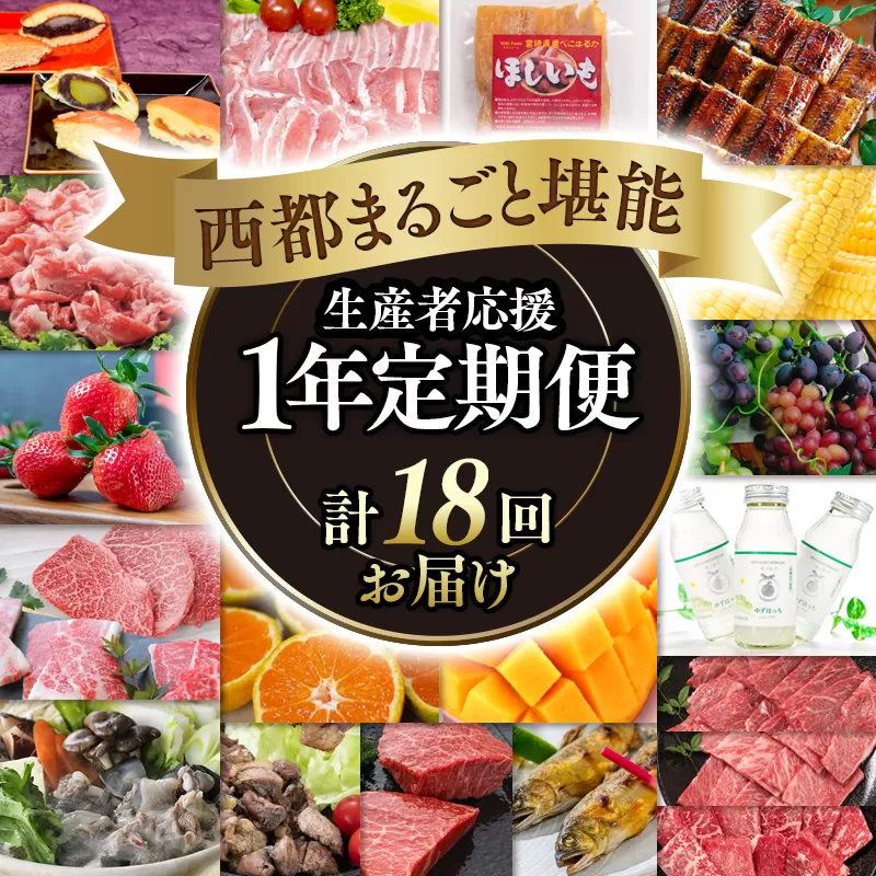【季節の定期便】西都まるごと堪能セットＤ 18品お届け 令和7年1月発送開始 12ヶ月定期便『プラチナコース』マンゴー・宮崎牛・うなぎなど18品お届け＜30-4＞牛肉 果物 フルーツ 宮崎県西都市