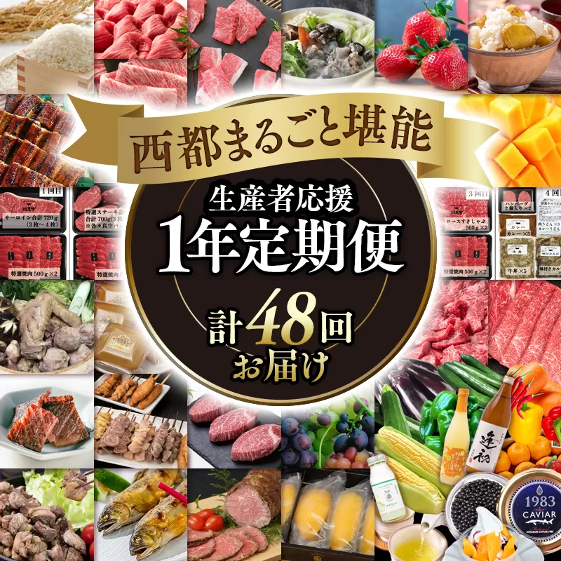 【季節の定期便】西都まるごと堪能セットＦ 48品お届け 令和7年1月発送開始 12ヶ月定期便『プレミアムコース』マンゴー・宮崎牛・うなぎなど48品お届け＜100-3＞