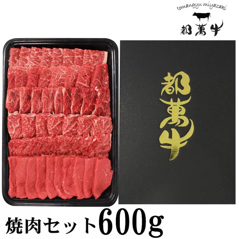 黒毛和牛『都萬牛』おまかせ焼肉セット600g<2-24>牛肉 オリジナルブランド 肉 宮崎県西都市