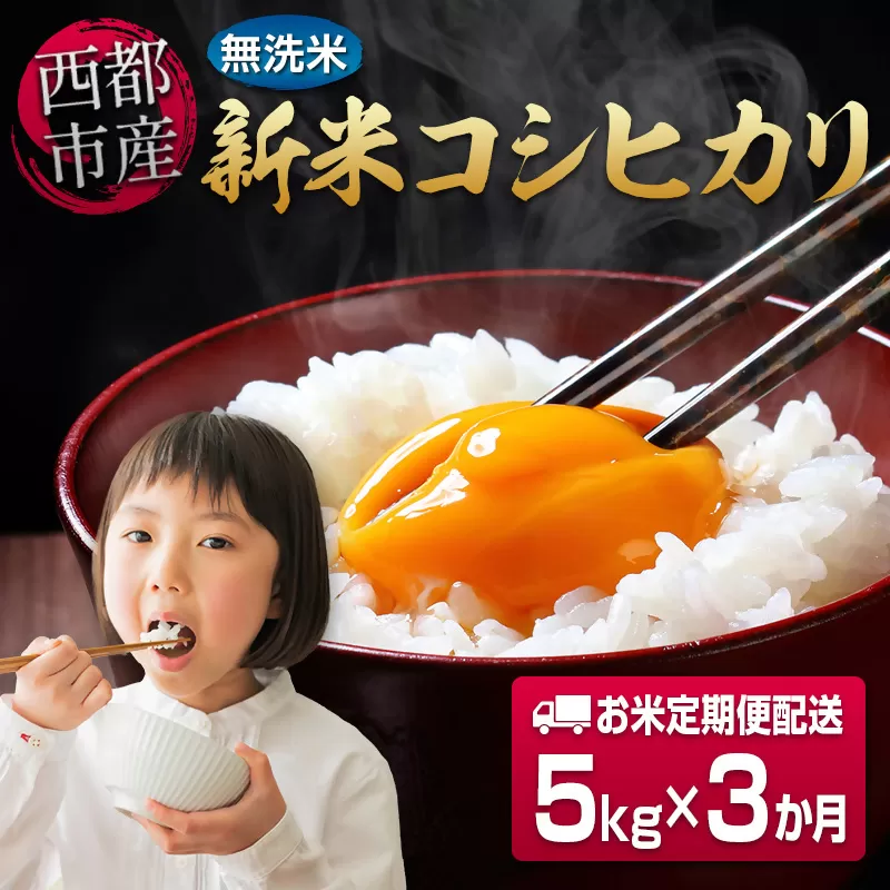 【3ヶ月定期便】宮崎県西都市産 新米コシヒカリ無洗米 5kg×3 合計15kg 令和7年産 8月～10月発送＜4.9-3＞宮崎県 西都市