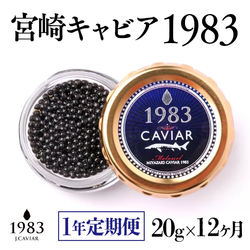 【12ヶ月定期便】宮崎キャビア MIYAZAKI CAVIAR 1983 20ｇ×12ヶ月 国産「ジャパン キャビア」＜54-1＞1年定期便 魚介類 魚卵 高級珍味 ギフト 宮崎県西都市