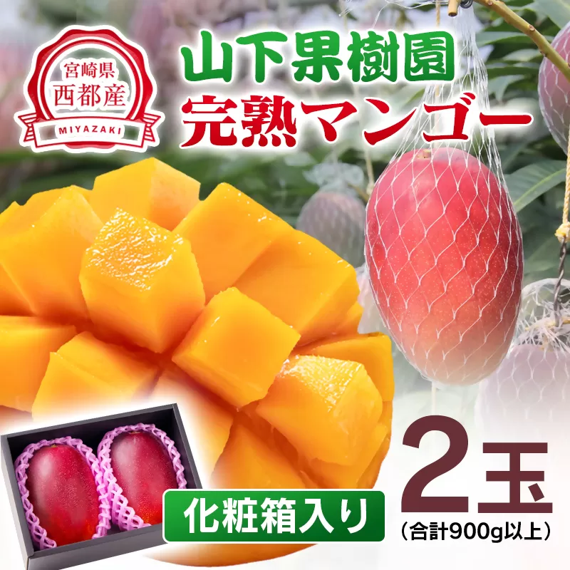 山下果樹園 西都市産完熟マンゴー2玉（900ｇ以上）化粧箱入り <1.8-17>果物 くだもの フルーツ 西都市 宮崎県