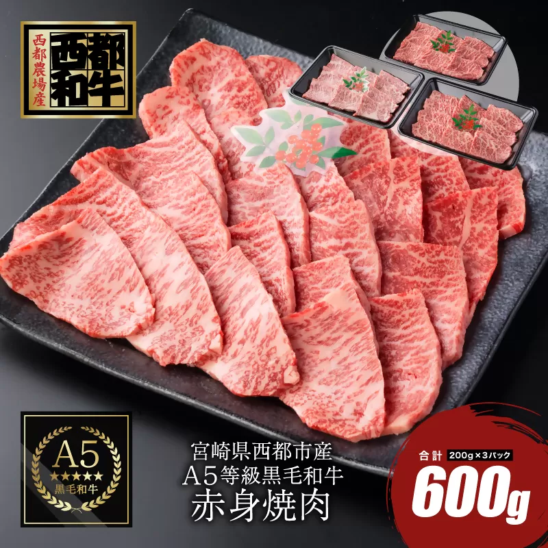 【最高品質のA5等級 西都和牛】黒毛和牛赤身焼肉600g （200ｇ×3）小分け 宮崎県産＜1.4-6＞【カミチクファーム】牛肉 赤身焼肉
