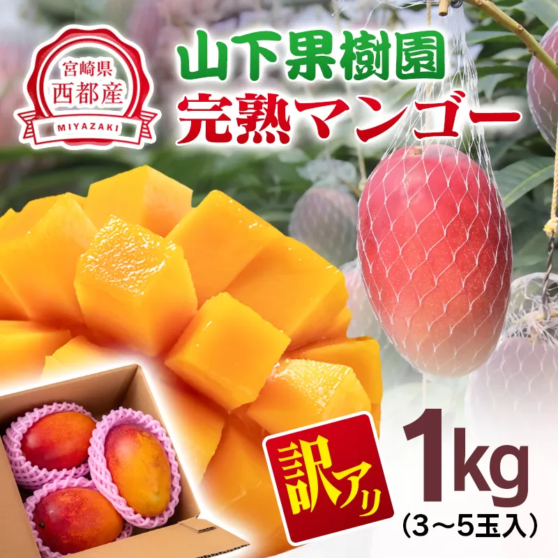 【3～5玉】訳アリ 山下果樹園 ご家庭用完熟マンゴー1kg <1.5-25>果物 くだもの フルーツ 西都市 宮崎県