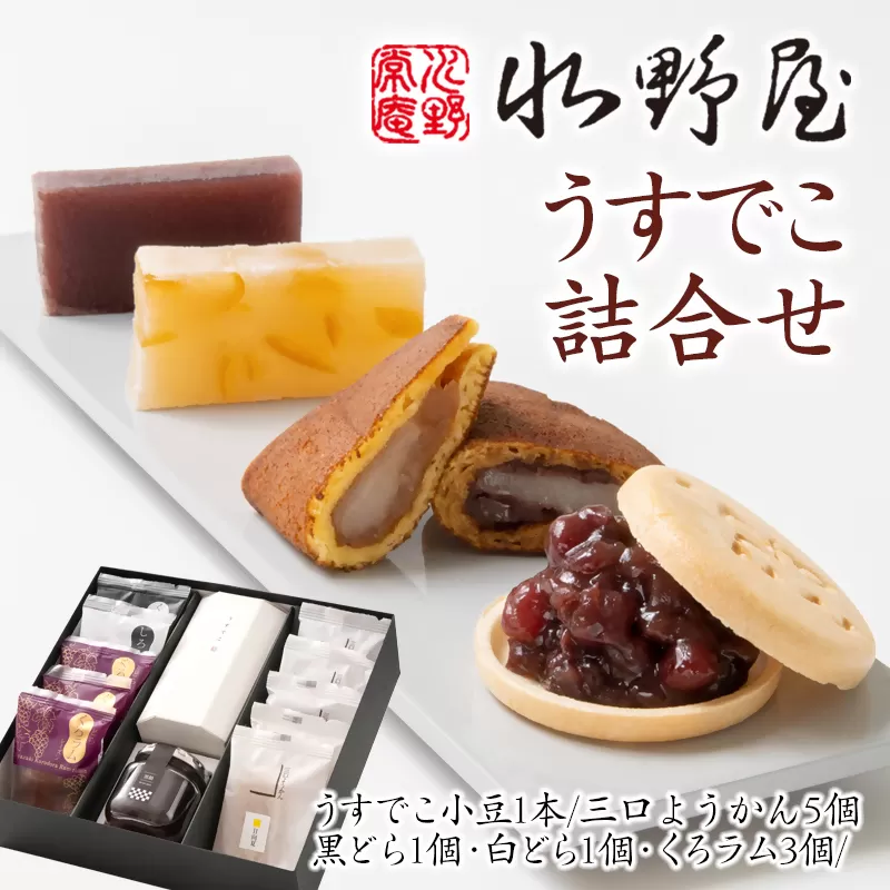 老舗水野屋『うすでこ詰合わせ』和菓子[1.2-64]お菓子 和菓子 どら焼き ギフト 宮崎県西都市