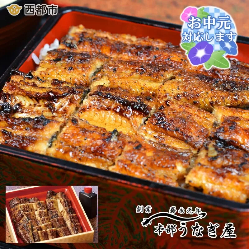 【お中元のし付き】老舗「本部うなぎ屋」鰻の蒲焼280ｇ　カット済み　国産鰻<3-8-3>