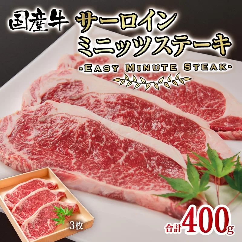 【3月17日終了】国産牛サーロインスミニッツステーキ3枚 計400g 牛肉 ステーキ＜1.2-63＞宮崎県 西都市 贅沢 肉 牛肉