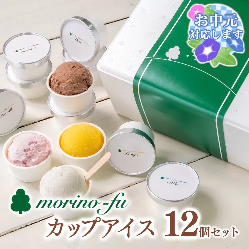 【お中元のし付き】もりのふうオリジナル 5種類（定番＋季節限定）カップアイスセット12個 （90ml×12個）<1-250-3>冷菓 氷菓 おやつ デザート ギフト 宮崎県 西都市