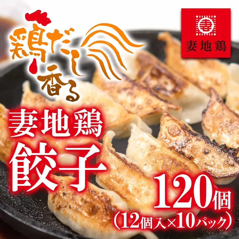 「妻地鶏」ぎょうざ詰め合わせ　12個入り×10パック　合計120個入＜1.5-13＞餃子 ギョウザ 鶏肉 惣菜 加工品 おかず 宮崎県西都市