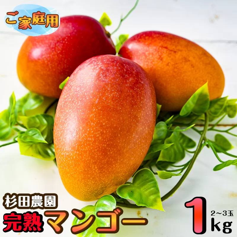 【先行予約】西都市産ご家庭用完熟マンゴー１ｋｇ（２玉～3玉） 杉田農園　訳あり＜1.1-1＞果物 くだもの フルーツ 訳アリ 宮崎県 西都市