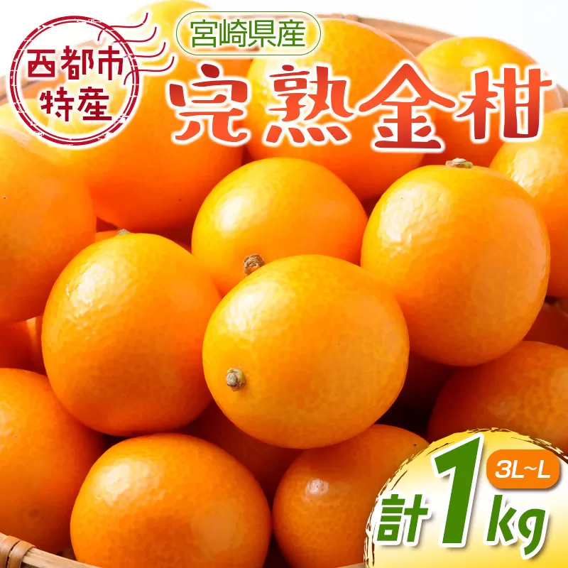 [先行予約]宮崎県西都市産 完熟金柑 きんかん1kg(3L〜L)西都市特産品[1-233]果物 くだもの 柑橘系 フルーツ 宮崎県 西都市