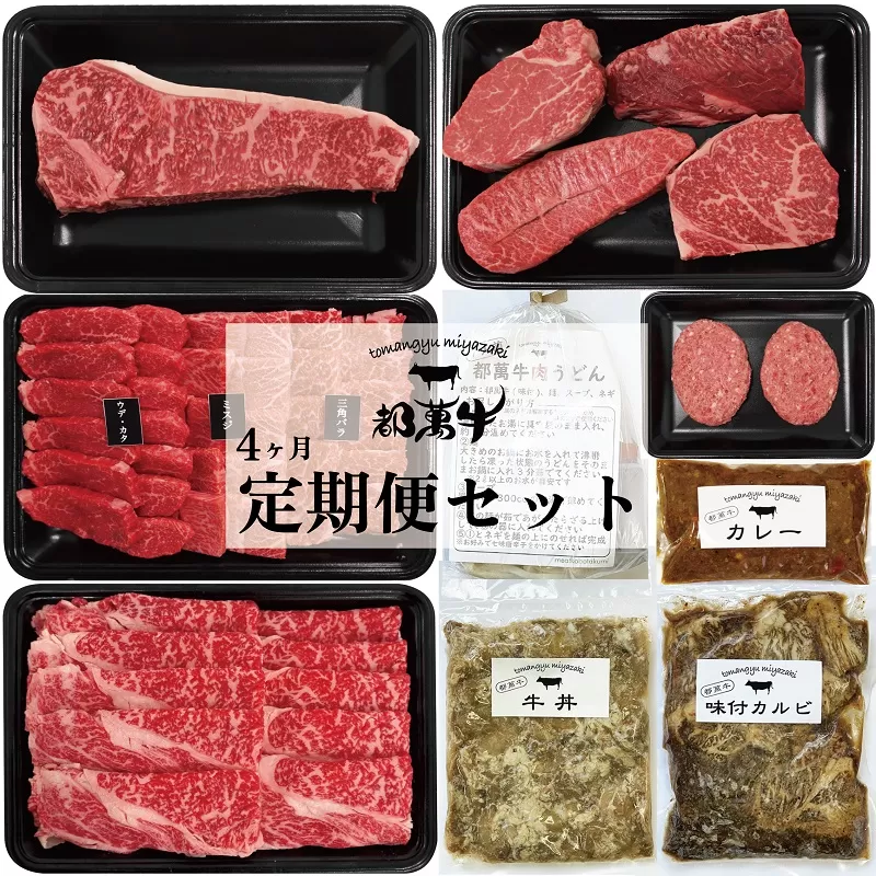 【4ヶ月定期便】黒毛和牛『都萬牛』定期便セット<特選焼肉・ステーキ・ロース・加工品><30-3>