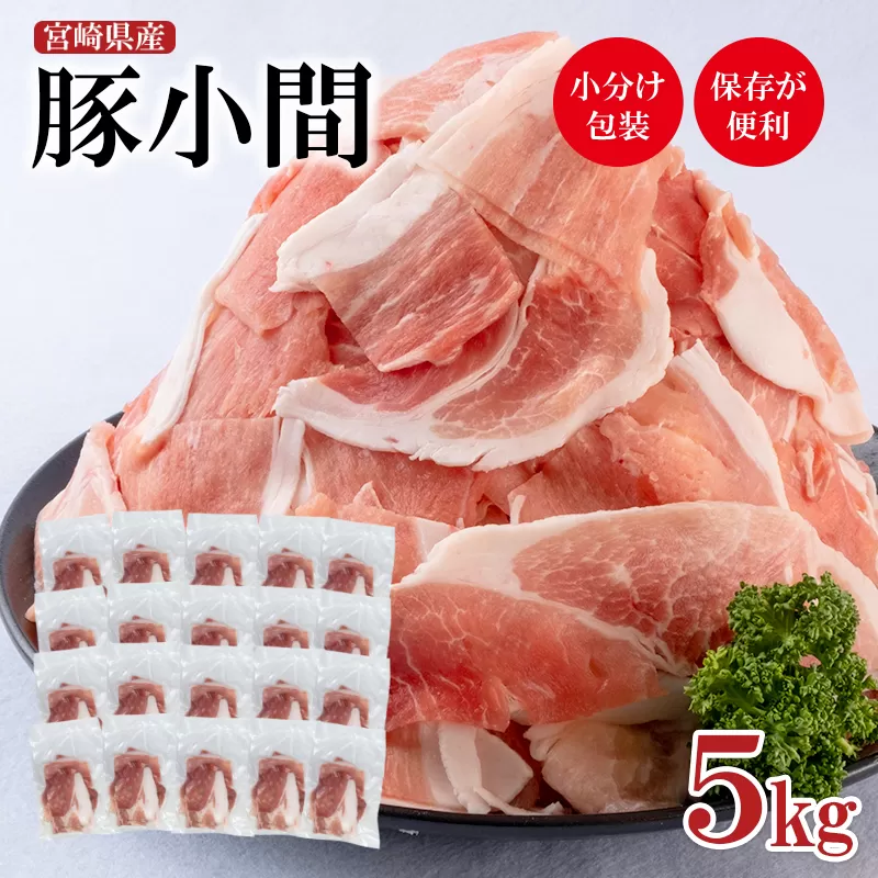 宮崎県産豚肉 小間切れ 小分け 250g×20パック 合計5kg<1.7-22>