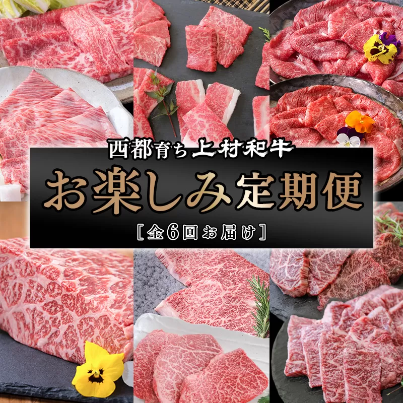 【カミチク上村和牛】お楽しみ年６回定期便（焼肉　ステーキ　スライス　ブロック　切落し　希少部位）【3月31日終了】＜9-1＞牛肉 肉定期便 6回定期便 宮崎県西都市