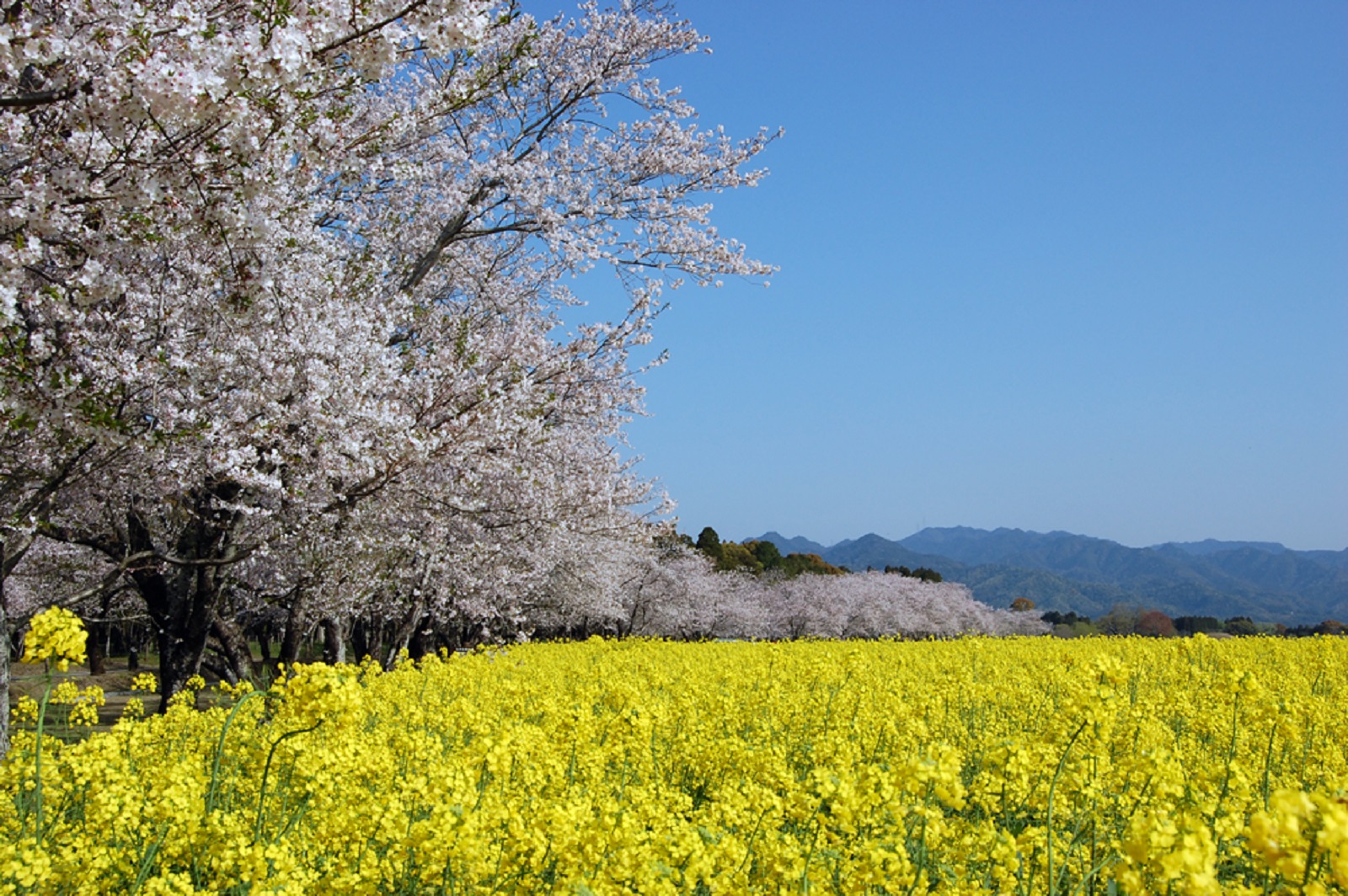 宮崎県西都市