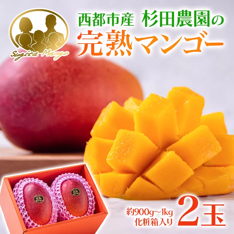 【先行予約】西都市産完熟マンゴー２玉 900ｇ～1ｋｇ　杉田農園〔化粧箱入り〕＜1.6-3＞