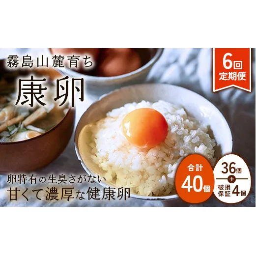 【ふるさと納税】卵【6回 定期便】霧島山麓育ち こだわり卵 康卵 計40個（36個 + 割れ保証4個） 6回 計 240個(216個 + 割れ保証 24個)たまご 玉子 卵焼き 玉子焼き たまご焼き 生卵 鶏卵 平飼い 放し飼い たまごかけごはん 国産 九州産 宮崎県産 送料無料