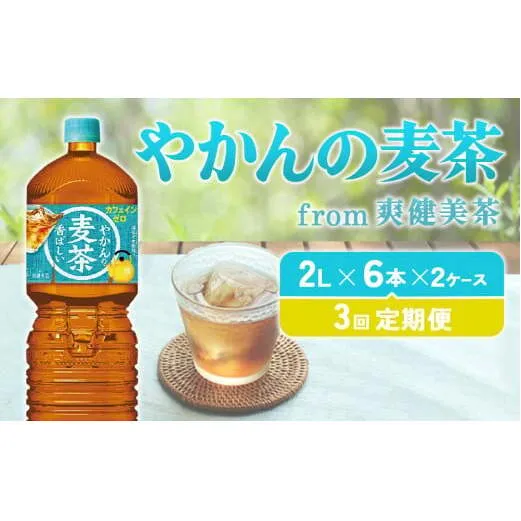 【3回定期便】 やかんの麦茶 from 爽健美茶 PET (2L×6本)×2ケース【コカコーラ】麦茶 お茶 ノンカフェイン 水分補給 こども 美容 むくみ
