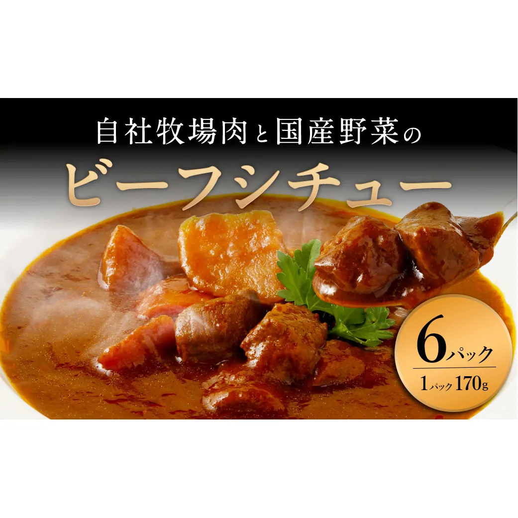 【720牧場グループ牛】自社牧場肉と国産野菜のビーフシチュー 170g×6パック 「720牧場グループ牛」100％使用 ビーフシチュー デミグラスソース 牛肉 惣菜 レトルト おかず 保存食 レンジ 簡単調理 おうちごはん 宮崎県 えびの市 送料無料