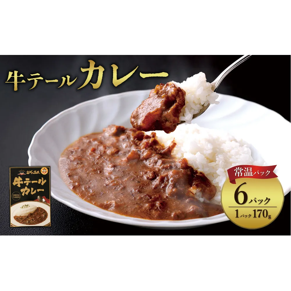 牛テール カレー セット レトルト 常温(170g × 6パック 計 1,020g) ビーフカレー 肉 牛 レトルトカレー レトルト食品 ギフト 常温 常温保存 常備食 保存食 防災 備蓄 非常食 防災食 簡易包装 送料無料