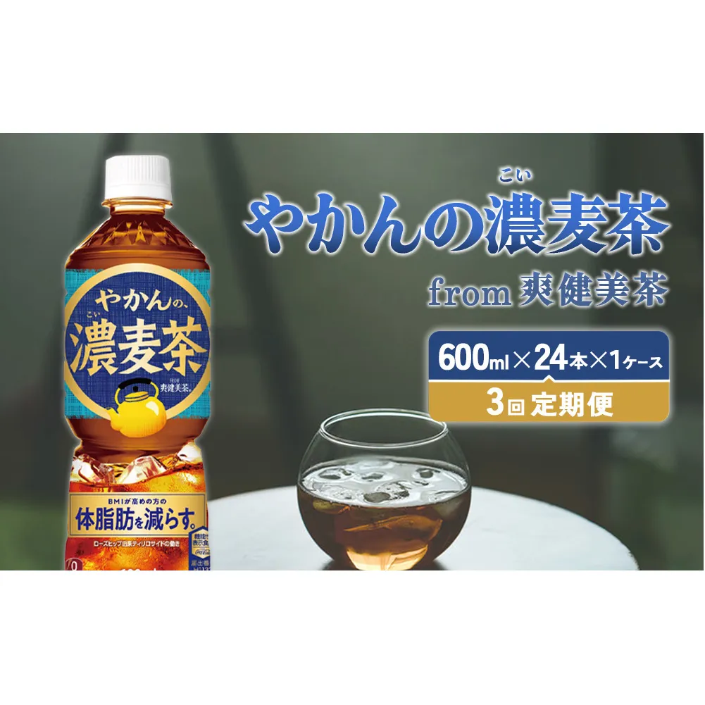 【3回定期便】やかんの濃麦茶 from 爽健美茶 600ml PET×24本（１ケース）合計72本【コカコーラ】 日本茶 お茶 麦茶 ペットボトル カフェインゼロ 常温 送料無料 こども 美容 むくみ BMI 体脂肪