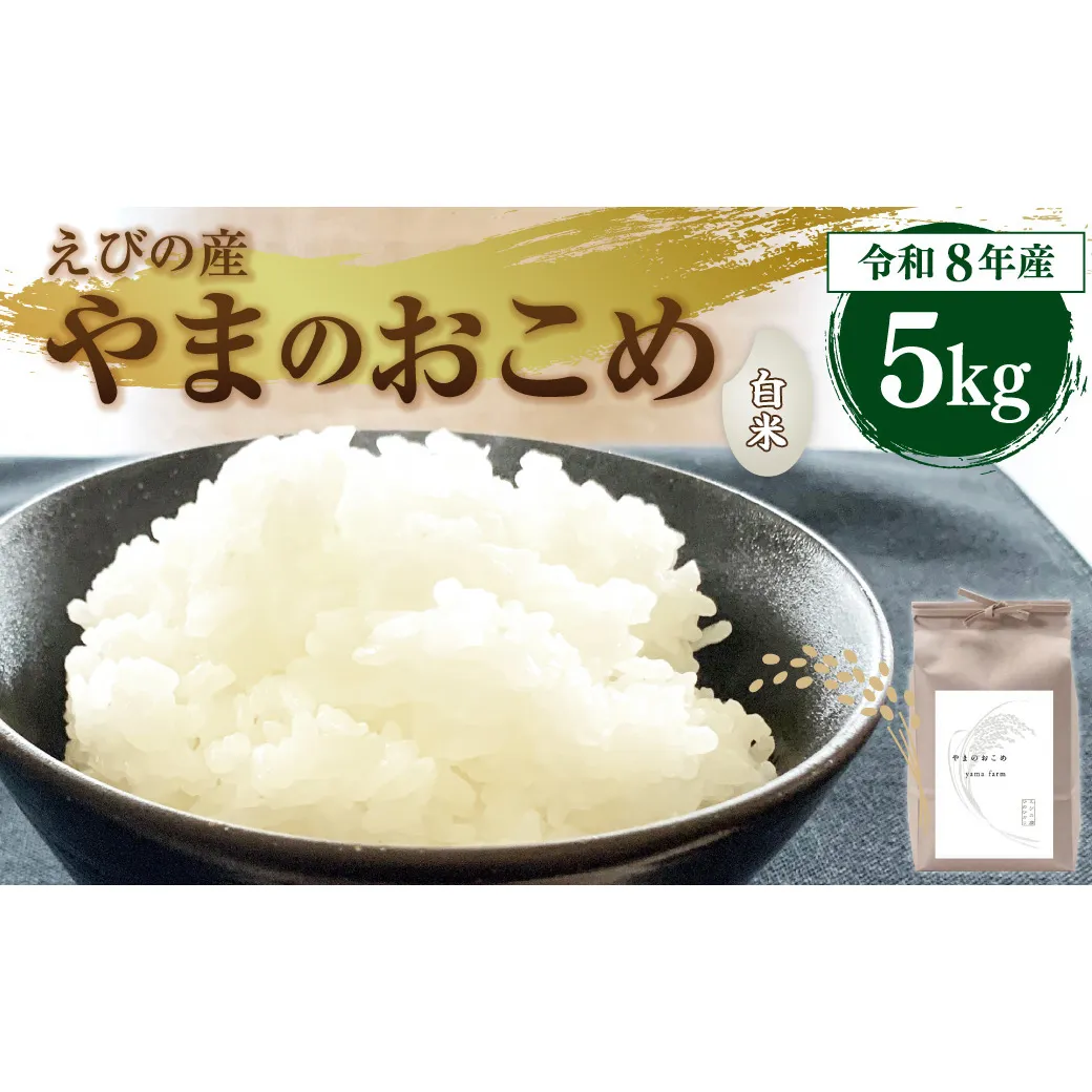 【令和8年産】えびの産 ヒノヒカリ やまのおこめ 5kg 白米 お米 米 国産 宮崎県 九州 ひのひかり 送料無料 おにぎり こめ コメ
