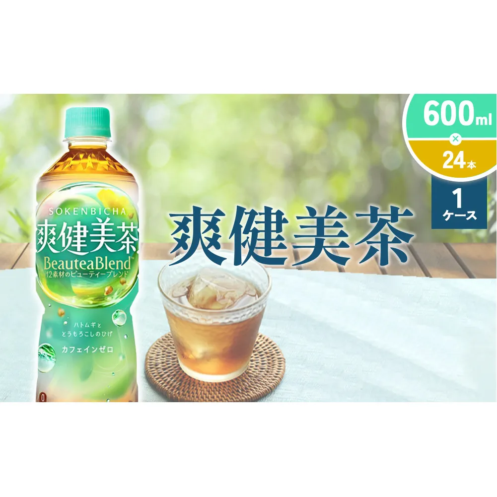 爽健美茶 600ml PET【コカ・コーラ】ペットボトル 1ケース(24本)  セット お茶 カフェインゼロ ノンカフェイン ハトムギ ブレンド茶 宮崎県 えびの市 送料無料