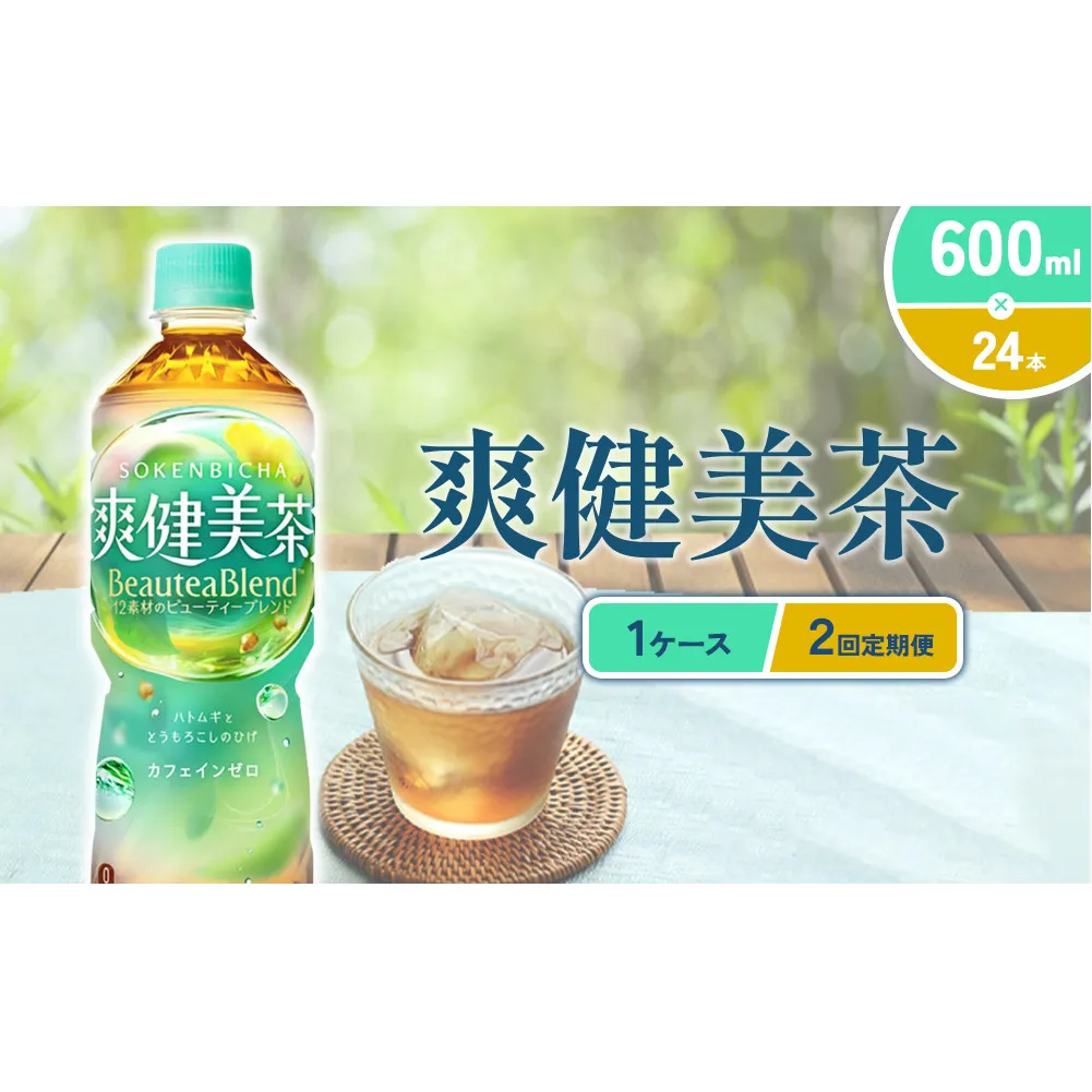 (2回定期便)爽健美茶 600ml PET[コカ・コーラ]ペットボトル 1ケース(24本) 定期便 2回(48本) セット お茶 カフェインゼロ ノンカフェイン ハトムギ ブレンド茶 宮崎県 えびの市 送料無料