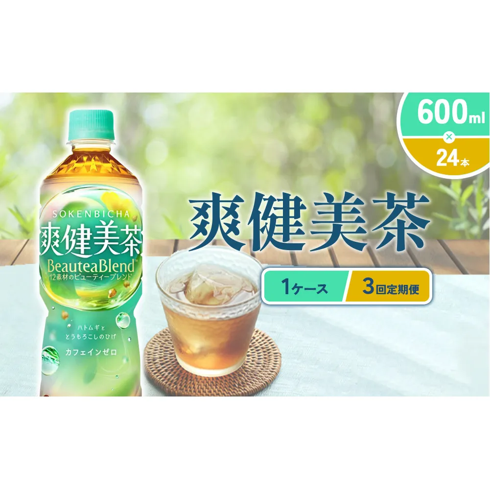（3回定期便）爽健美茶 600ml PET【コカ・コーラ】ペットボトル 1ケース(24本) 定期便 3回(72本) セット お茶 カフェインゼロ ノンカフェイン ハトムギ ブレンド茶 宮崎県 えびの市 送料無料