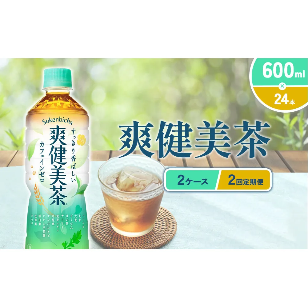 （2回定期便）爽健美茶 600ml PET【コカ・コーラ】ペットボトル 2ケース(48本) 定期便 2回(96本) セット お茶 カフェインゼロ ノンカフェイン ハトムギ ブレンド茶 宮崎県 えびの市 送料無料