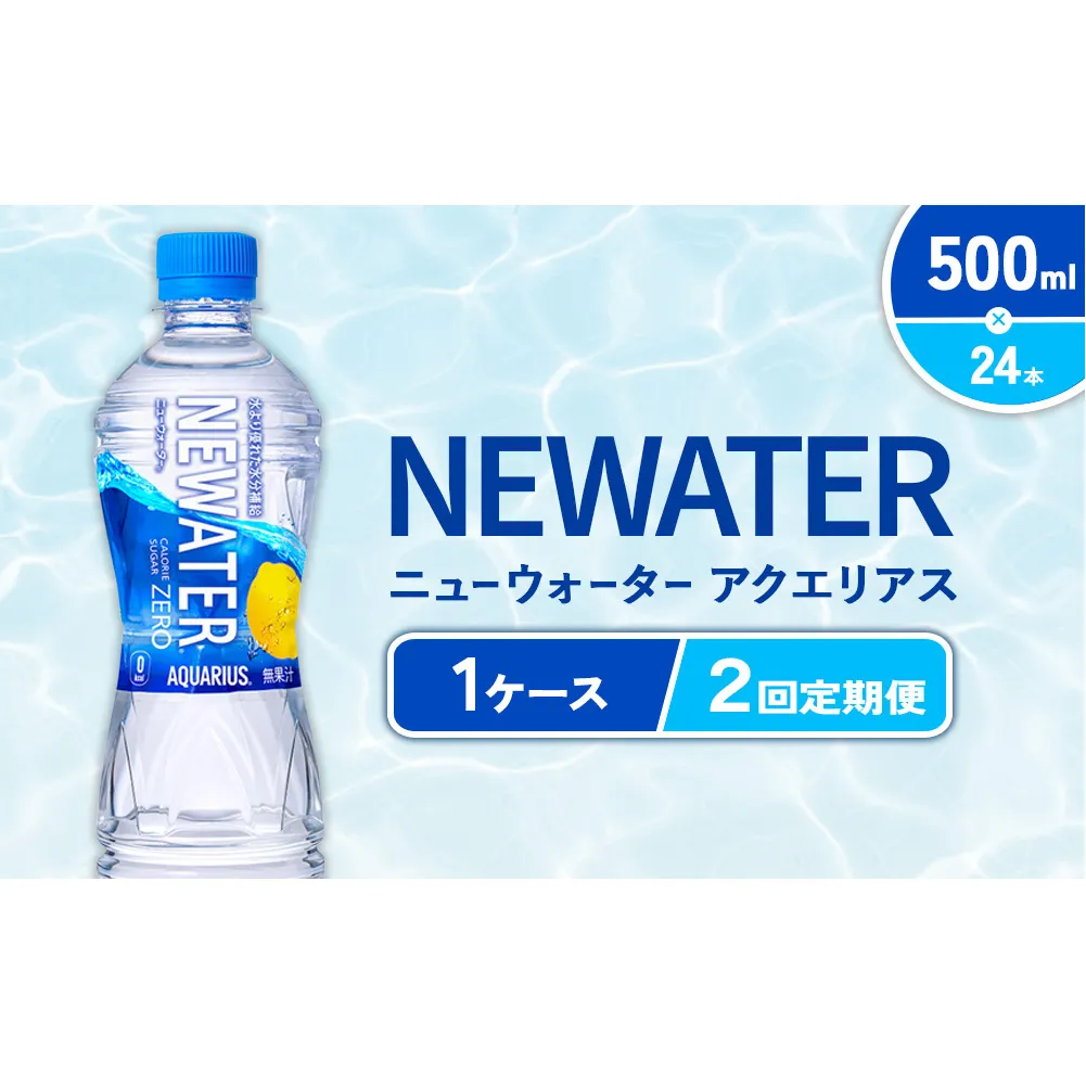 【2回定期便】アクエリアス ニューウォーター 500ml PET【コカ・コーラ】ペットボトル 1ケース(24本) 定期便 2回(48本) セット スポーツドリンク スポドリ カロリーゼロ 熱中症対策 水分補給 清涼飲料水 宮崎県 えびの市 送料無料