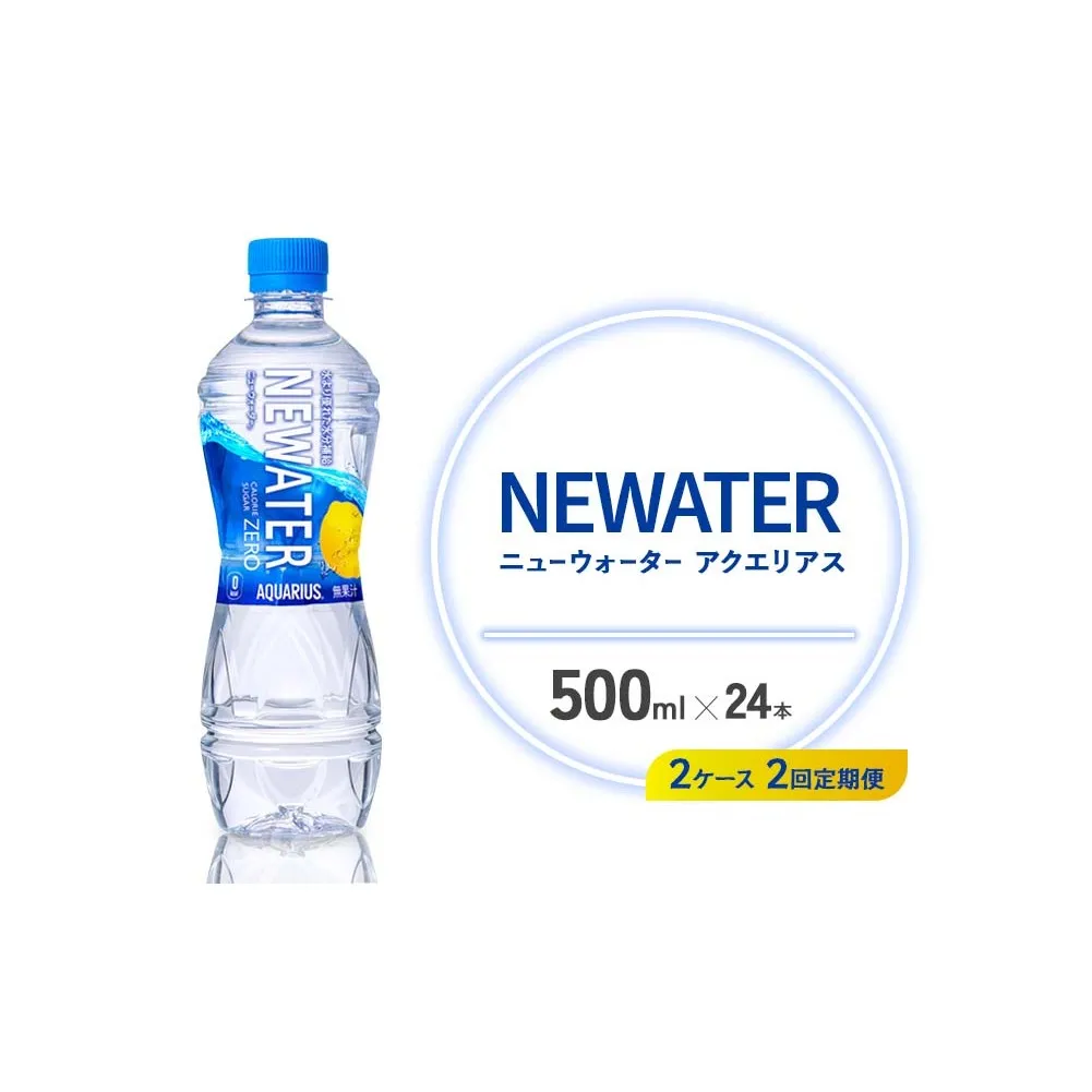 【2回定期便】アクエリアス ニューウォーター 500ml PET【コカ・コーラ】ペットボトル 2ケース(48本) 定期便 2回(96本) セット スポーツドリンク スポドリ カロリーゼロ 熱中症対策 水分補給 清涼飲料水 宮崎県 えびの市 送料無料