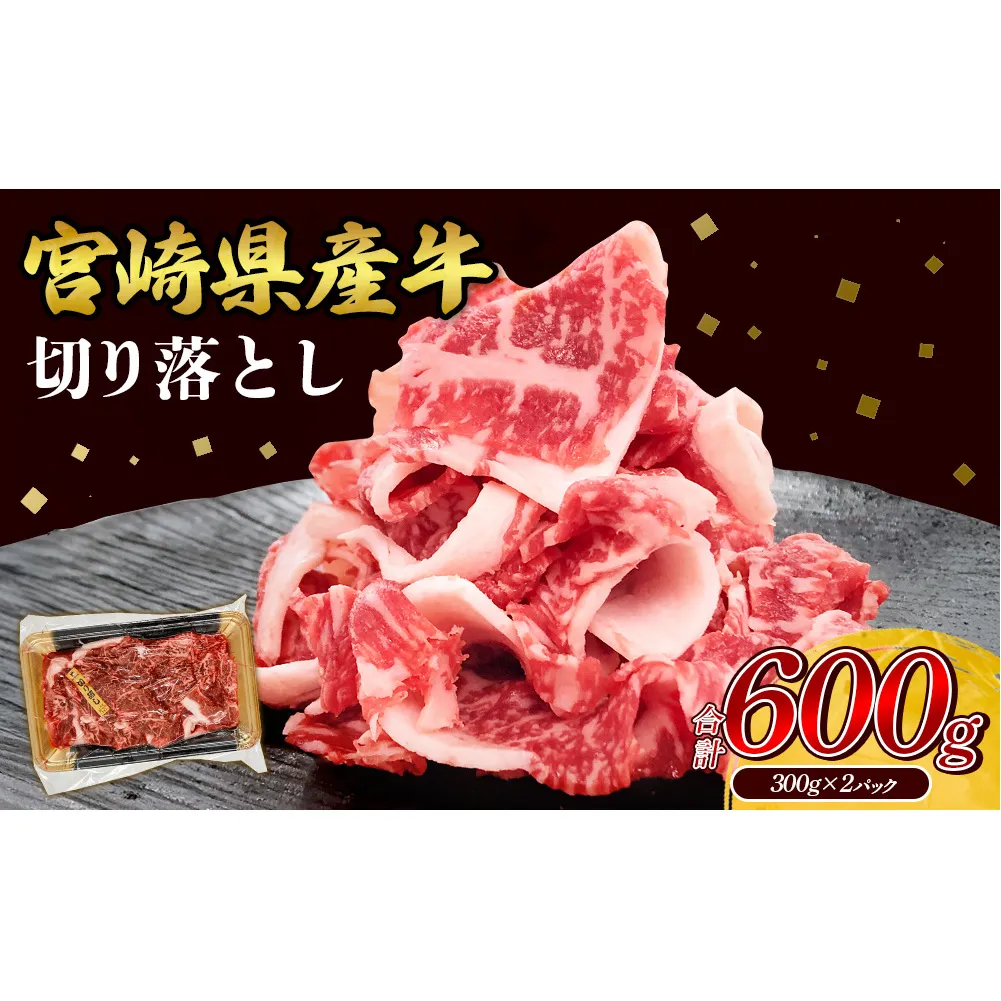 宮崎県産 黒牛 切り落とし 600g（300g×2パック） 赤身 牛肉 切り落とし 肉 お肉 牛 国産牛 小分け 真空パック コスパ 冷凍 贈答 ギフト 人気 国産 えびの市 送料無料