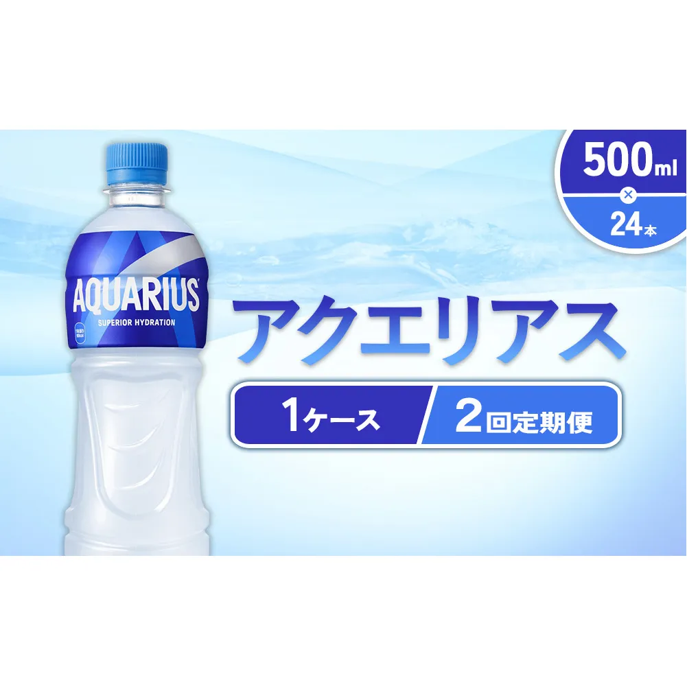 【2回定期便】アクエリアス 500ml PET × 24本 1ケース 毎月 2回 AQUARIUS スポーツドリンク スポーツ飲料 ペットボトル 熱中症対策 水分補給 コカ・コーラ Coca-Cola 運動 送料無料